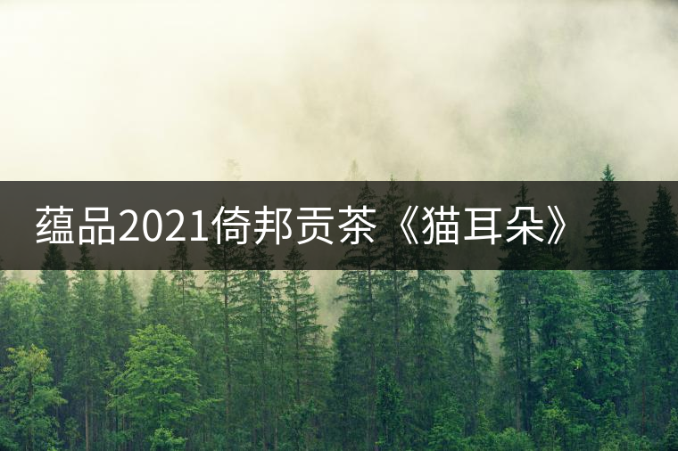 蘊(yùn)品2021倚邦貢茶《貓耳朵》古樹(shù)普洱茶生茶好喝嗎？