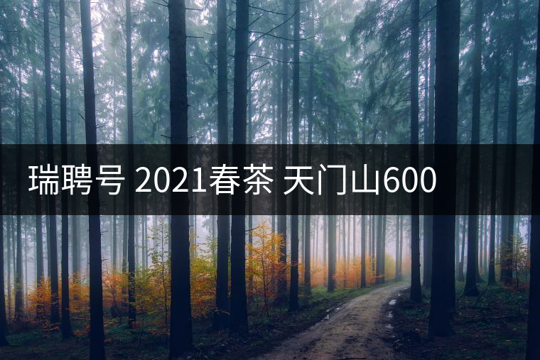 瑞聘號 2021春茶 天門山600 頭春古樹口感怎么樣？