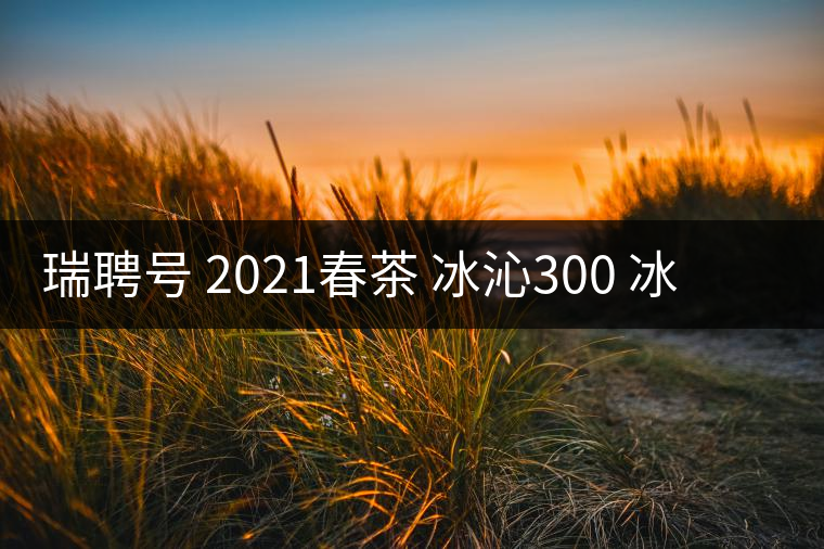 瑞聘號 2021春茶 冰沁300 冰島頭春古樹茶好喝嗎？