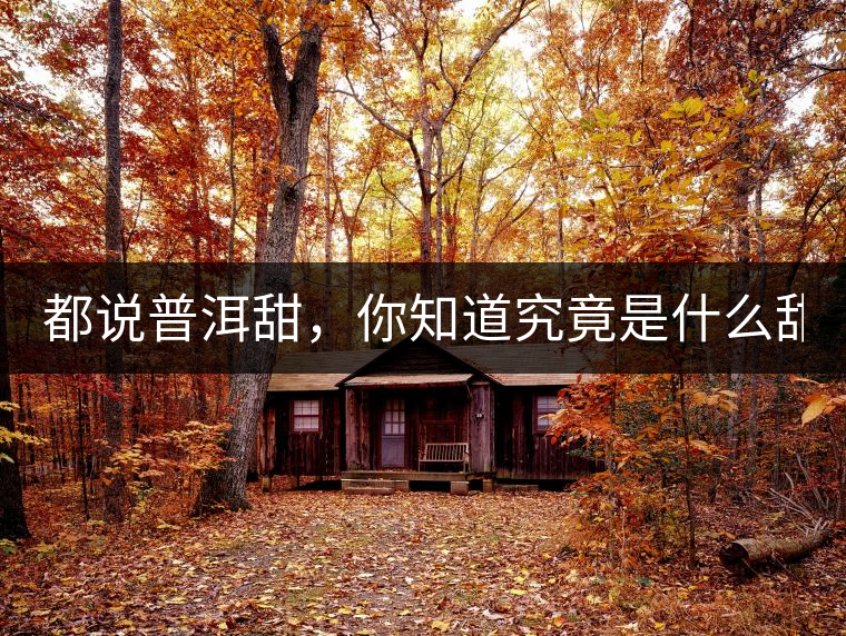 都說普洱甜，你知道究竟是什么甜嗎？