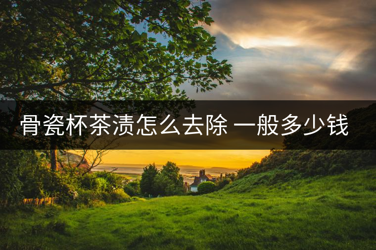 骨瓷杯茶漬怎么去除 一般多少錢(qián)一個(gè)