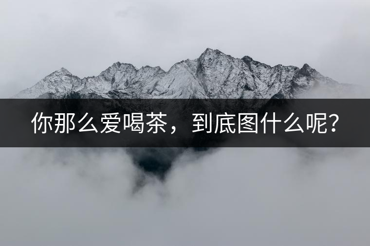 你那么愛喝茶，到底圖什么呢？