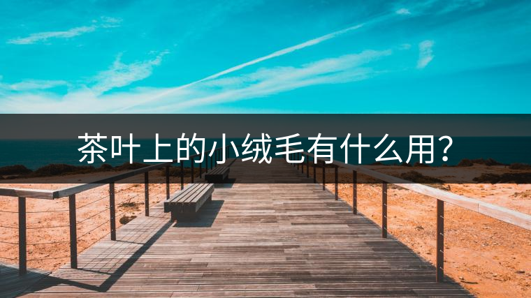 茶葉上的小絨毛有什么用？