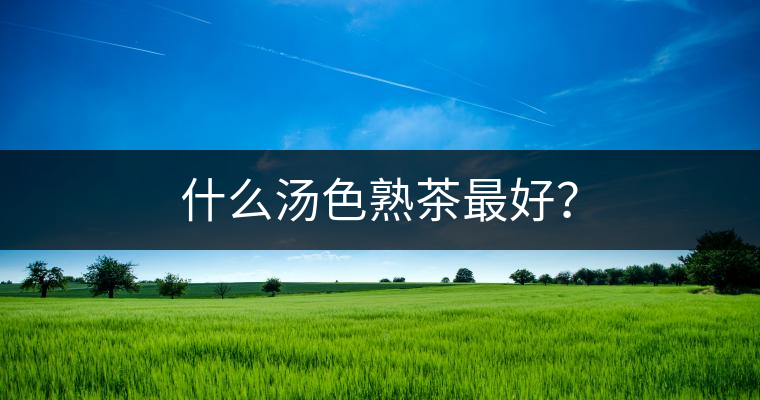 什么湯色熟茶最好？