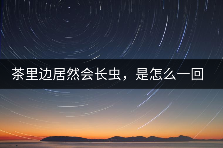 茶里邊居然會長蟲，是怎么一回事呢？