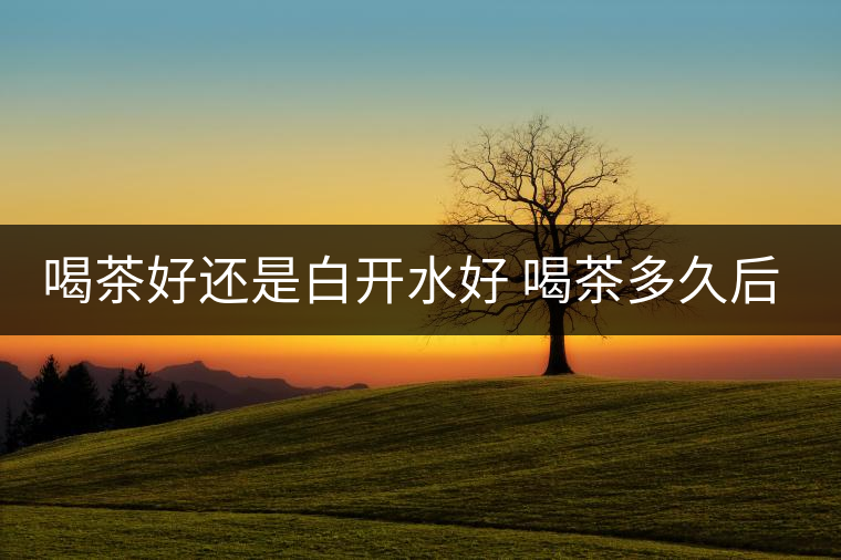 喝茶好還是白開(kāi)水好 喝茶多久后可以吃中藥