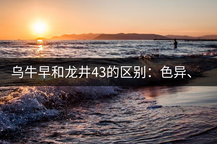 烏牛早和龍井43的區(qū)別：色異、香異、形異