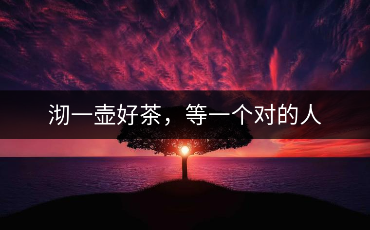 沏一壺好茶，等一個(gè)對(duì)的人