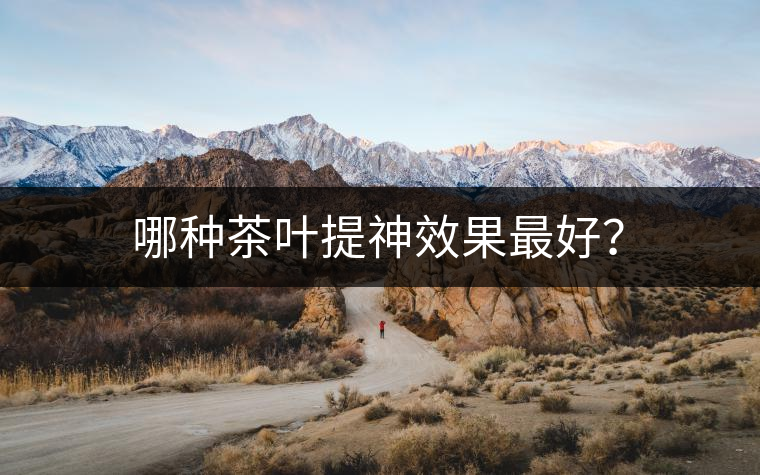 哪種茶葉提神效果最好？