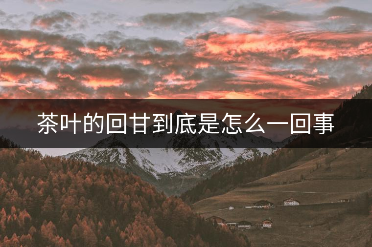 茶葉的回甘到底是怎么一回事 茶葉的回甘到底是怎么一回事