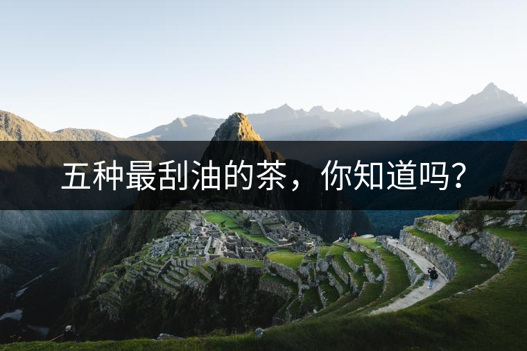 五種最刮油的茶，你知道嗎？