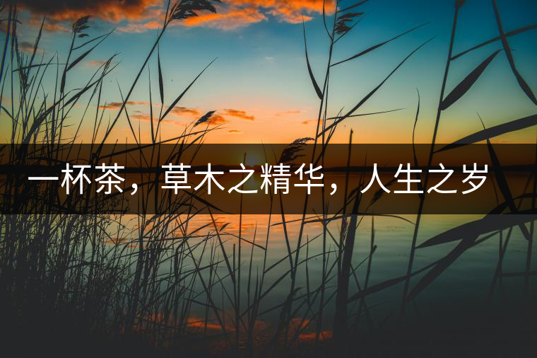 一杯茶，草木之精華，人生之歲月
