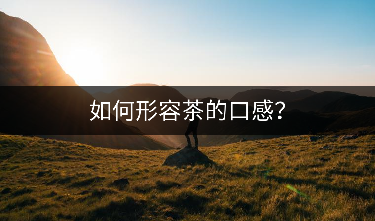 如何形容茶的口感？