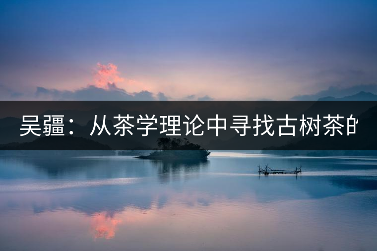吳疆：從茶學理論中尋找古樹茶的鑒別方法？（讀書筆記3）