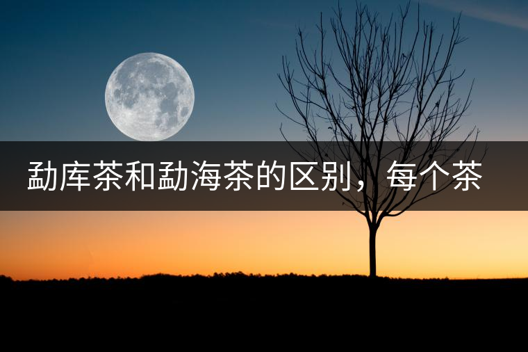 勐庫茶和勐海茶的區(qū)別，每個茶友都該了解的選茶常識！