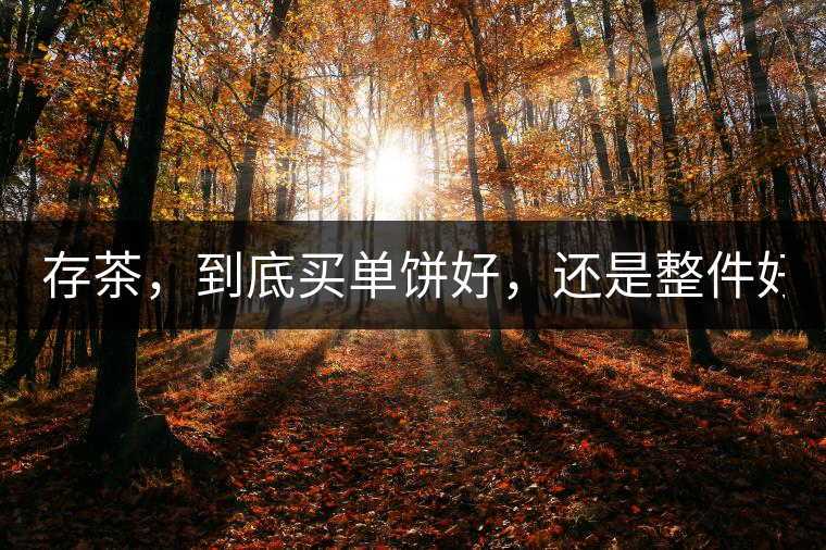存茶，到底買單餅好，還是整件好？