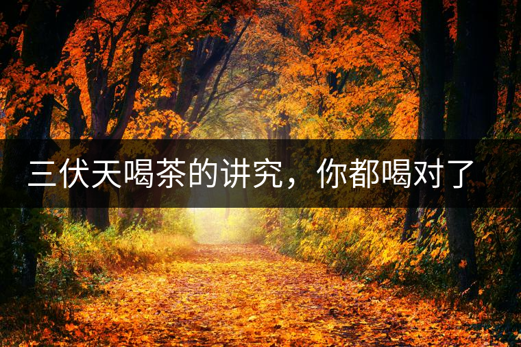 三伏天喝茶的講究，你都喝對(duì)了嗎？