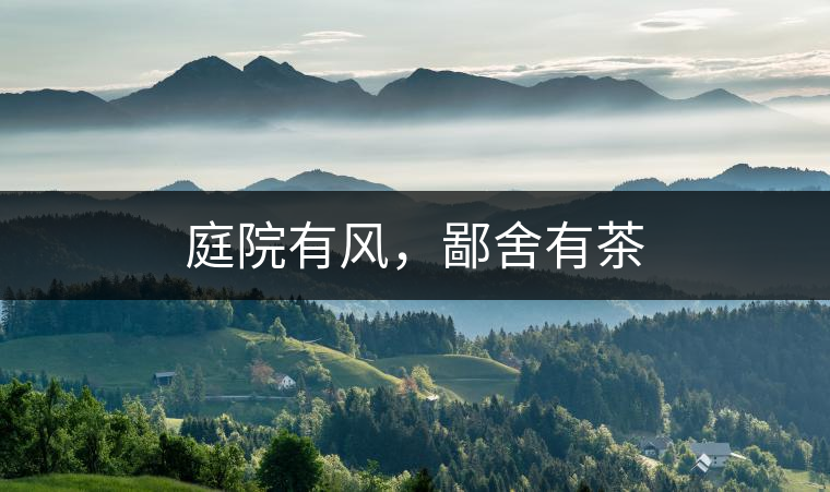 庭院有風(fēng)，鄙舍有茶