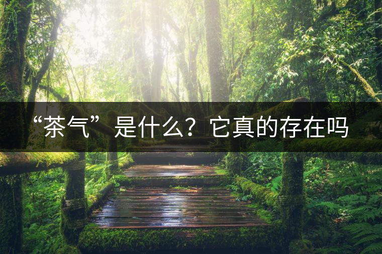“茶氣”是什么？它真的存在嗎？