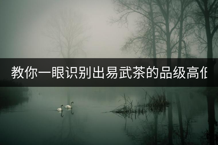 教你一眼識別出易武茶的品級高低！