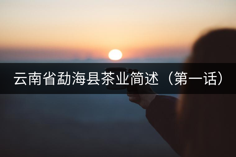 云南省勐?？h茶業(yè)簡(jiǎn)述（第一話）
