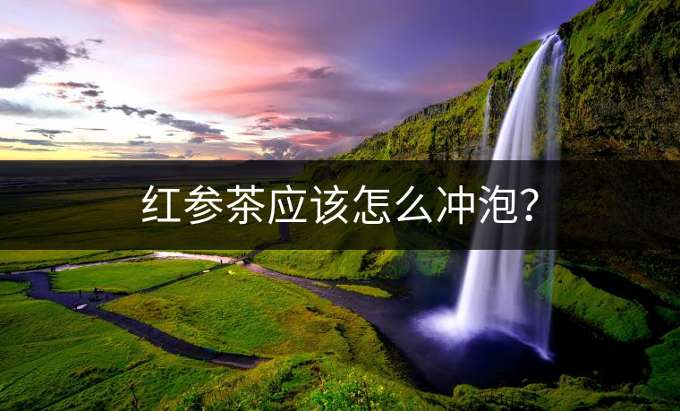 紅參茶應該怎么沖泡？