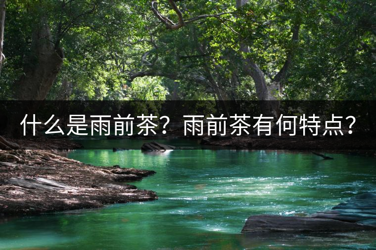 什么是雨前茶？雨前茶有何特點(diǎn)？