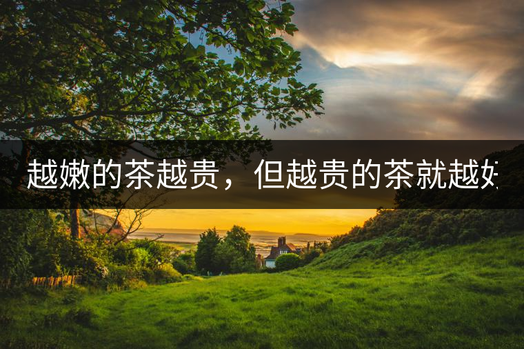 越嫩的茶越貴，但越貴的茶就越好嗎？