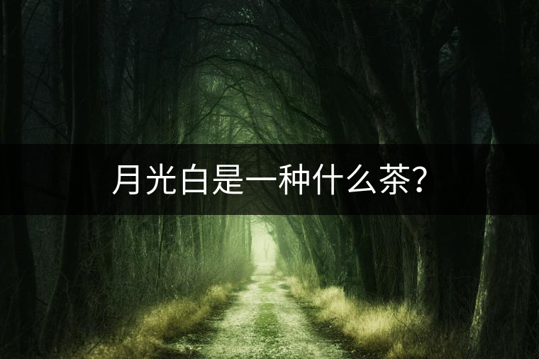 月光白是一種什么茶？