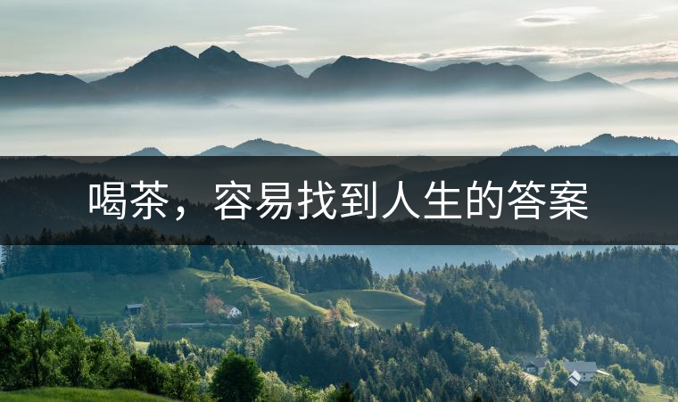 喝茶，容易找到人生的答案