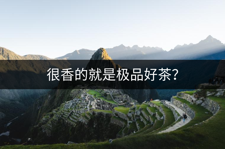 很香的就是極品好茶？