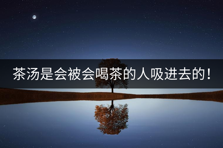 茶湯是會(huì)被會(huì)喝茶的人吸進(jìn)去的！