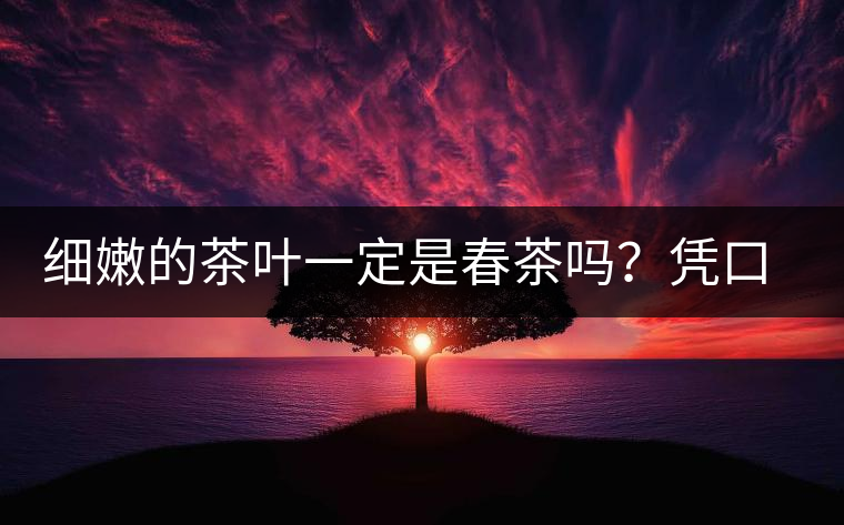 細(xì)嫩的茶葉一定是春茶嗎？憑口感鑒別春茶的方法