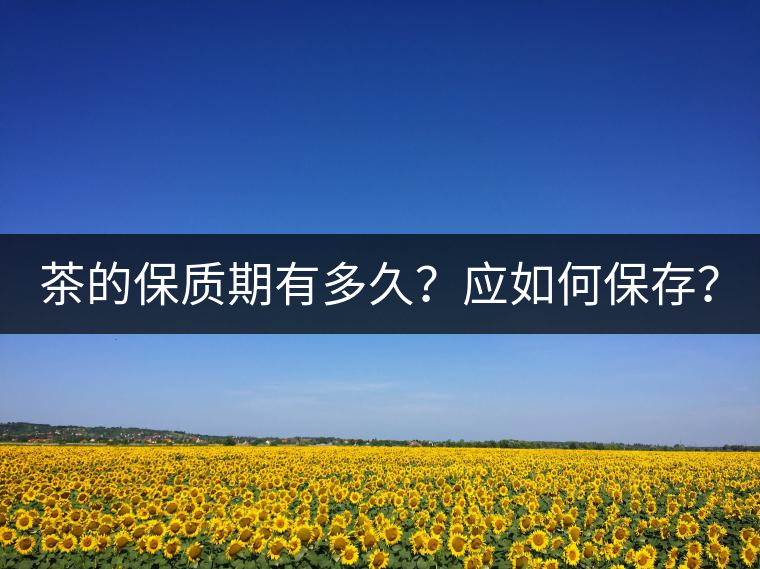 茶的保質(zhì)期有多久？應(yīng)如何保存？