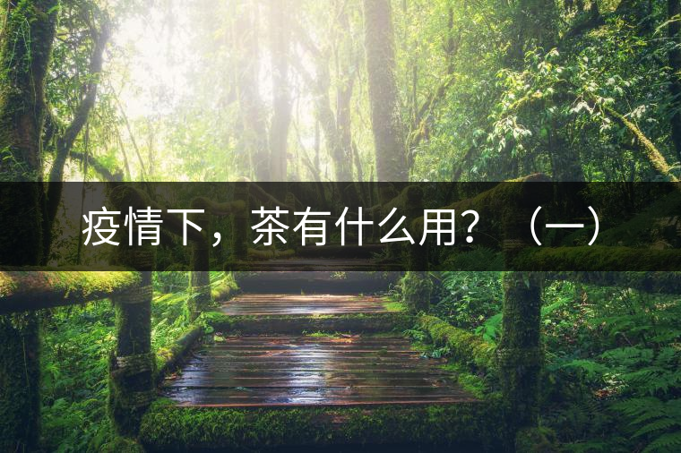 疫情下，茶有什么用？（一）