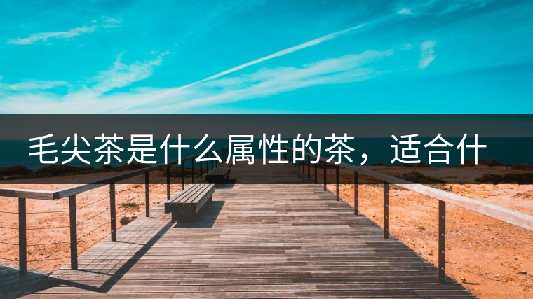 毛尖茶是什么屬性的茶，適合什么群體品飲？