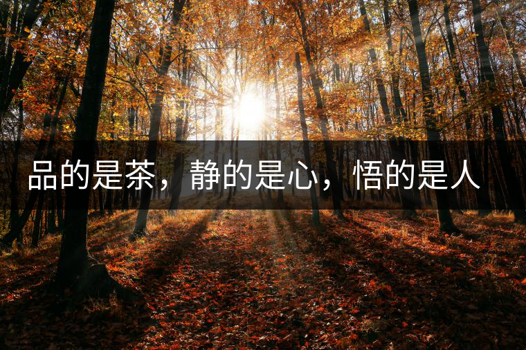 品的是茶，靜的是心，悟的是人生，滌的是靈魂