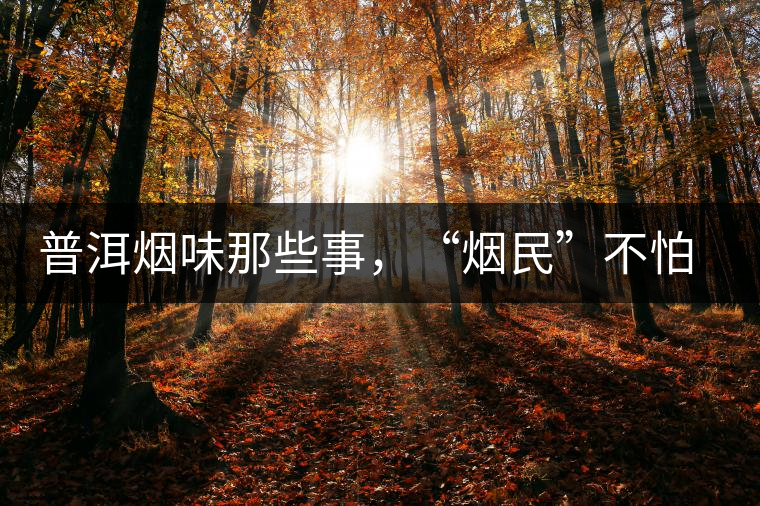 普洱煙味那些事,“煙民”不怕當(dāng) 普洱煙味那些事,“煙民”不怕當(dāng)