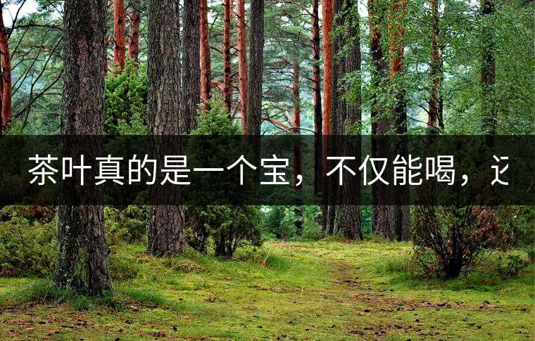 茶葉真的是一個寶，不僅能喝，還能用！