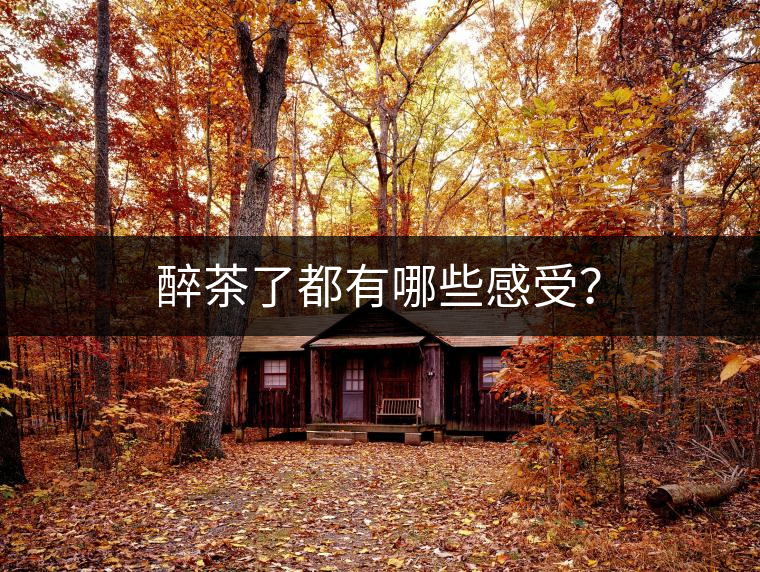 醉茶了都有哪些感受？