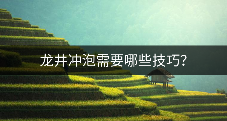 龍井沖泡需要哪些技巧？