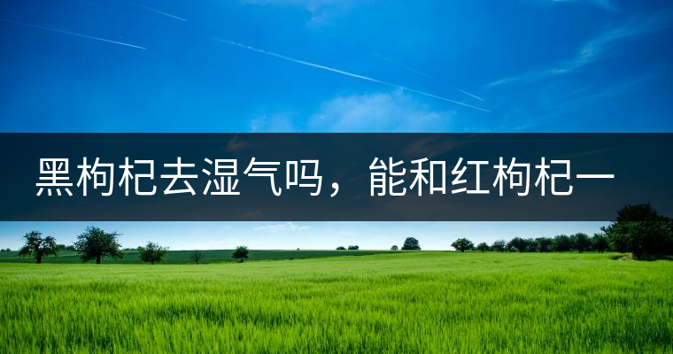 黑枸杞去濕氣嗎，能和紅枸杞一起泡嗎？