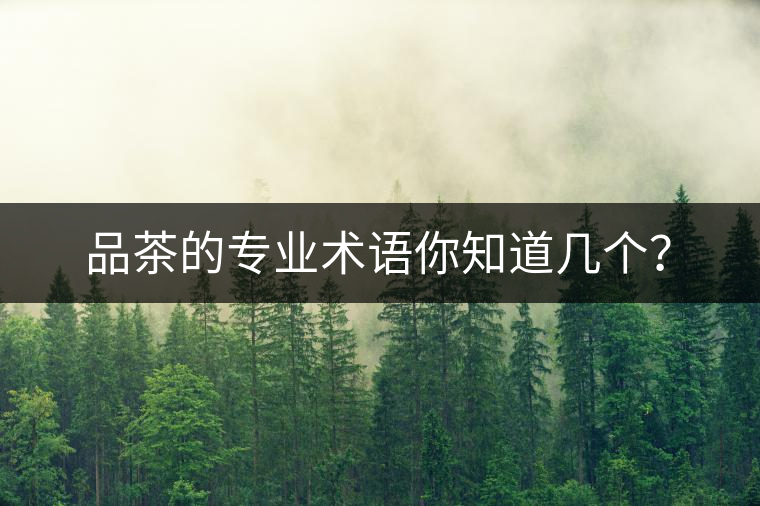 品茶的專業(yè)術(shù)語(yǔ)你知道幾個(gè)？