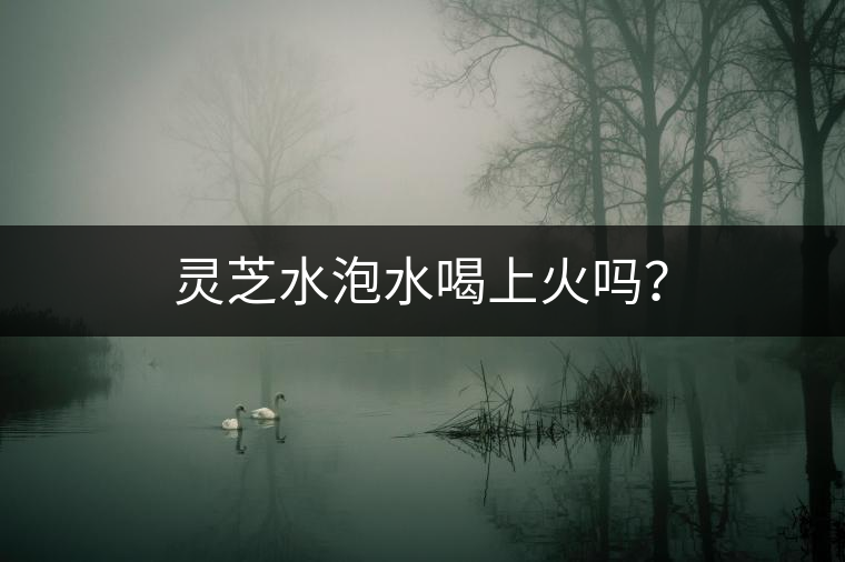 靈芝水泡水喝上火嗎？
