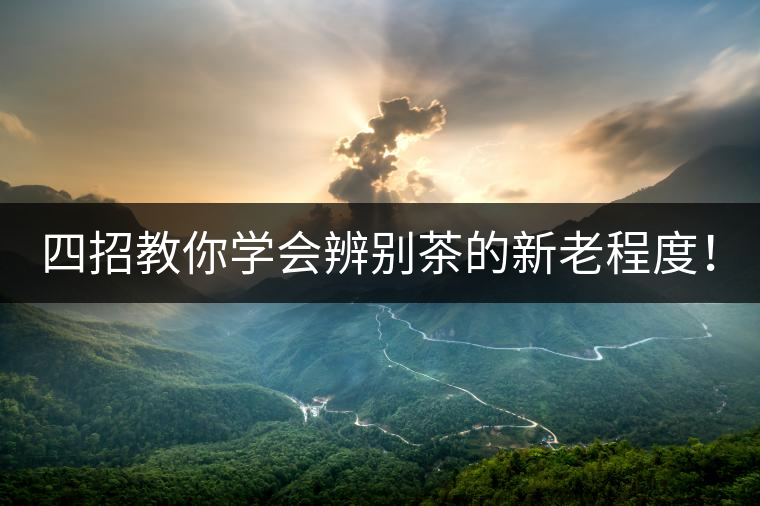 四招教你學(xué)會辨別茶的新老程度！