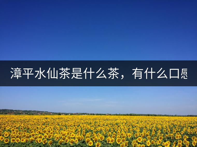 漳平水仙茶是什么茶，有什么口感特點(diǎn)！