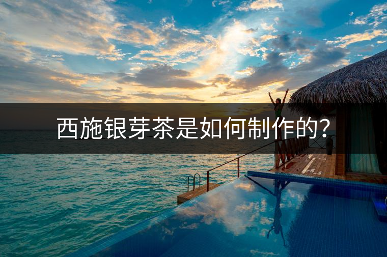 西施銀芽茶是如何制作的？