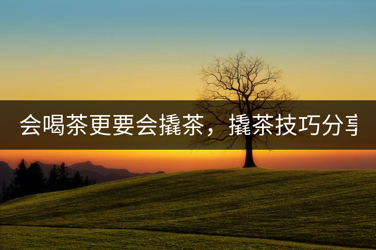 會(huì)喝茶更要會(huì)撬茶，撬茶技巧分享！