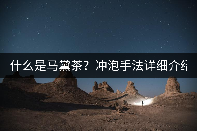 什么是馬黛茶？沖泡手法詳細(xì)介紹！