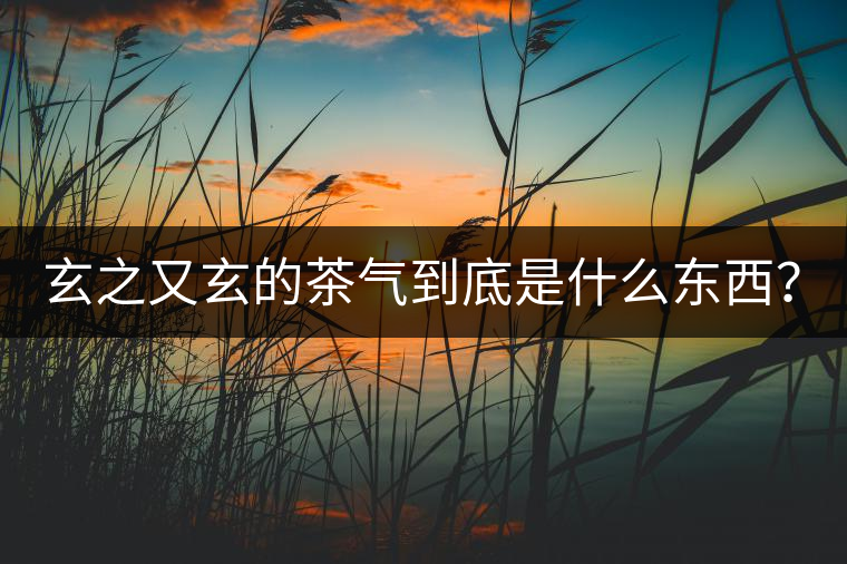 玄之又玄的茶氣到底是什么東西？